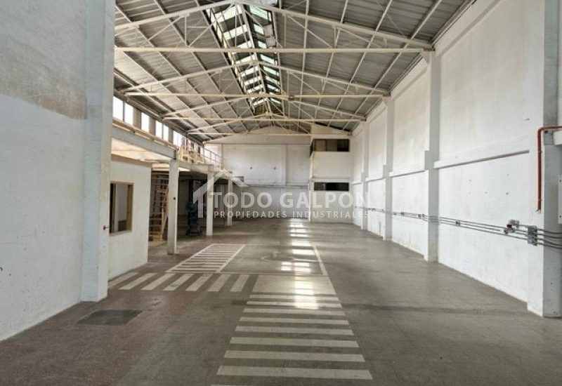 Galpón por dentro